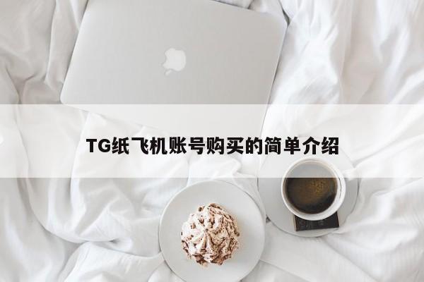TG纸飞机账号购买的简单介绍