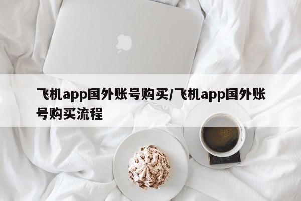 飞机app国外账号购买/飞机app国外账号购买流程