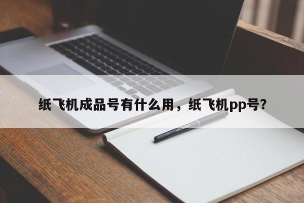 纸飞机成品号有什么用，纸飞机pp号？
